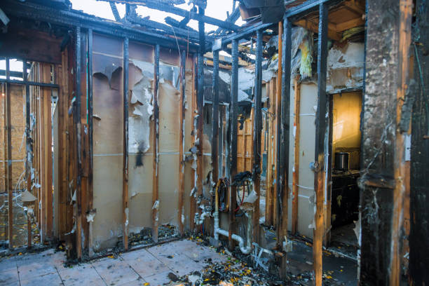 Professional Fire Damage Assessment technician working in Lexington Hills, CA
